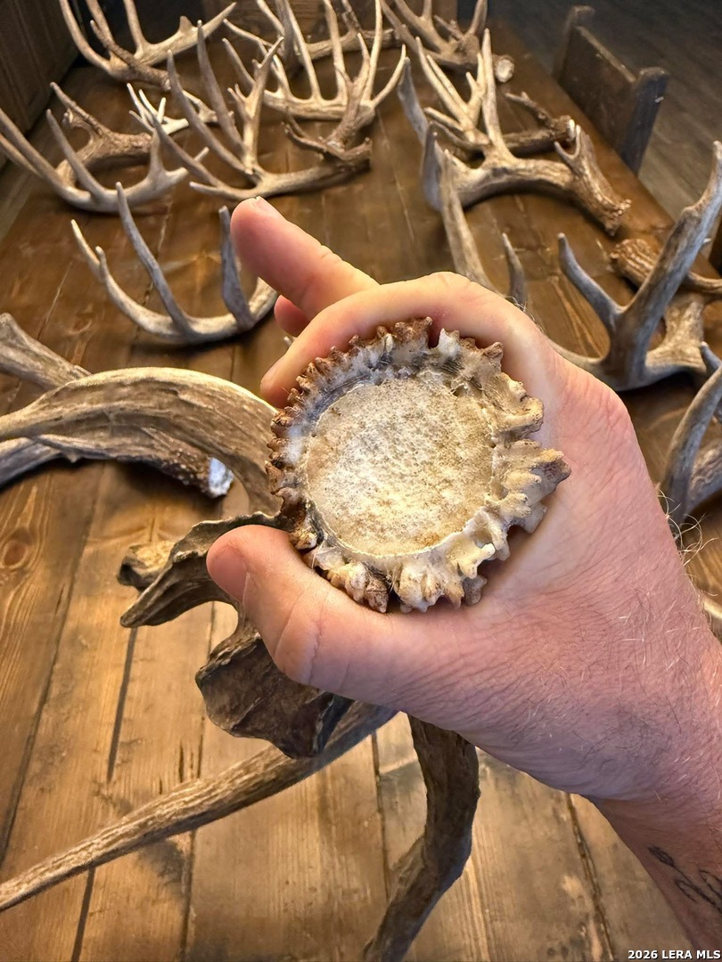 208 Well Pad Road George West, TX 78022 - Photo 48 of 48