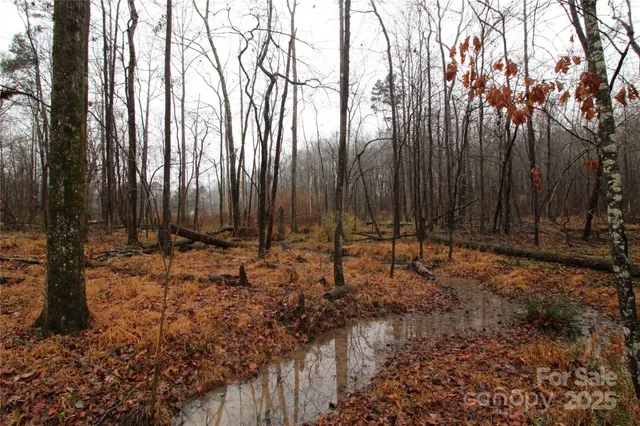 $70,000 | 4-ac Lot 2 4-ac Road, Bessemer City, NC 28016