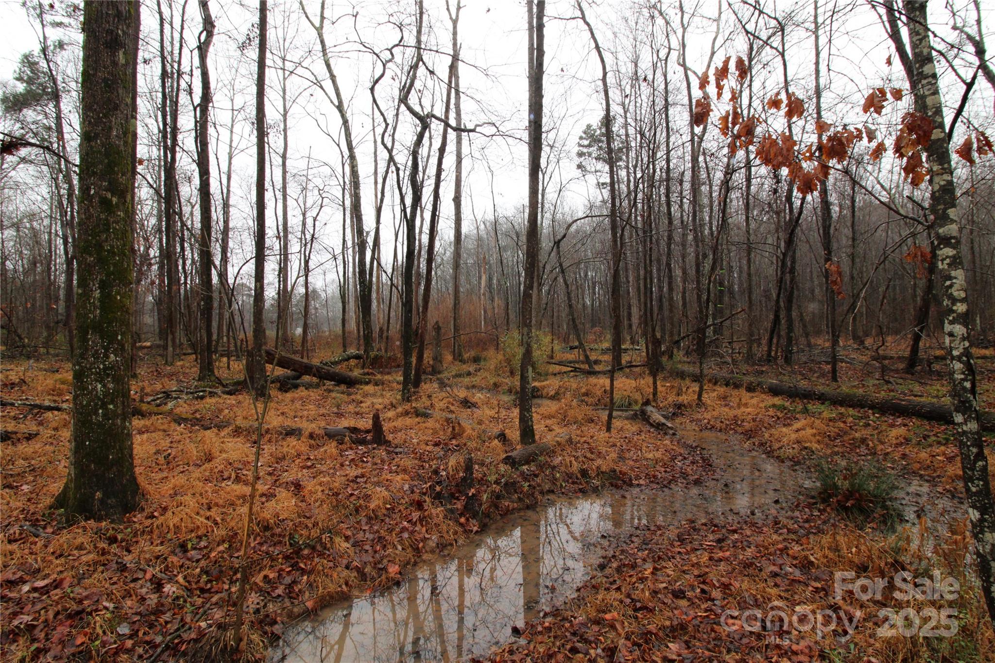 4-ac Lot 2 4-ac Road Bessemer City, NC 28016 - Photo 5 of 5