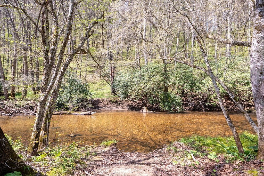255 Frontier Road Dugspur, VA 24325 - Photo 60 of 73 Gallery Image 60