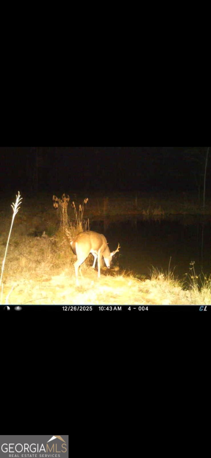 111-acres Lillian Strong Road Carlton, GA 30627 - Photo 20 of 29 Gallery Image 20