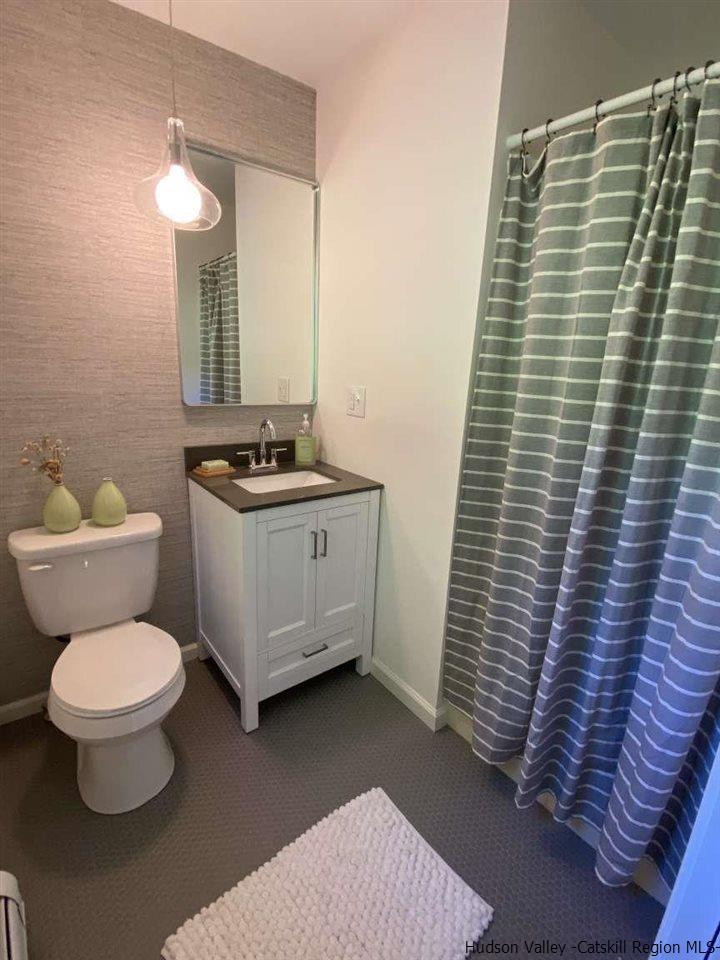 349 Co Road, Unit KRUMVILLE DAVIS CORNER RD Olivebridge, NY 12461 - Photo 17 of 25 a bathroom with a sink a toilet and mirror