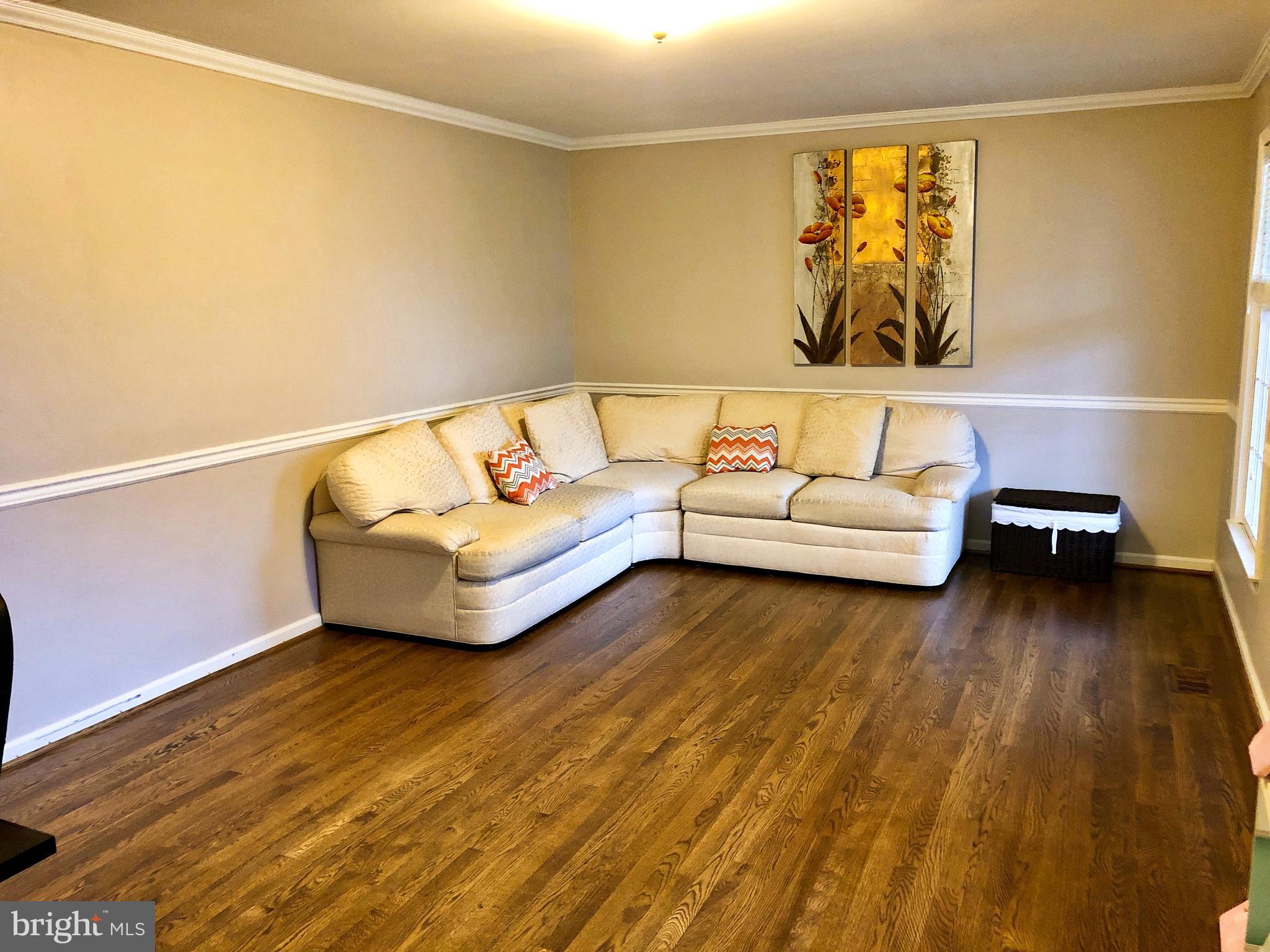 4305 Zircon Road Middletown, MD 21769 - Photo 13 of 38 Large living room