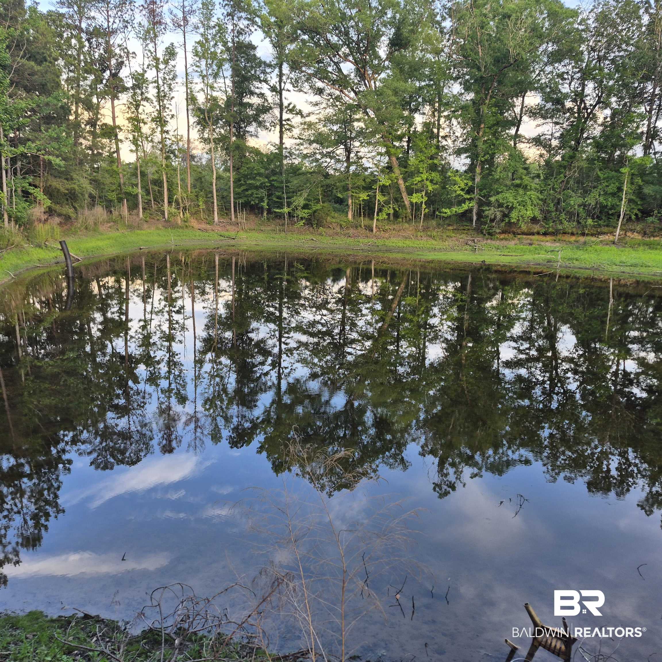 0 Brooklyn Road Evergreen, AL 36401 - Photo 10 of 15