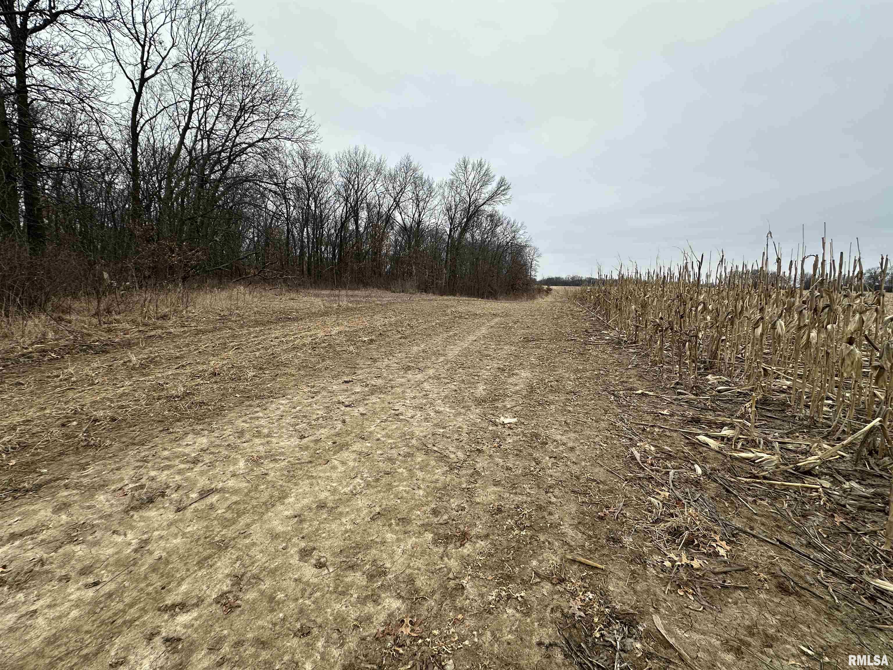 0 North 7 Hills Road Avon, IL 61415 - Photo 11 of 55