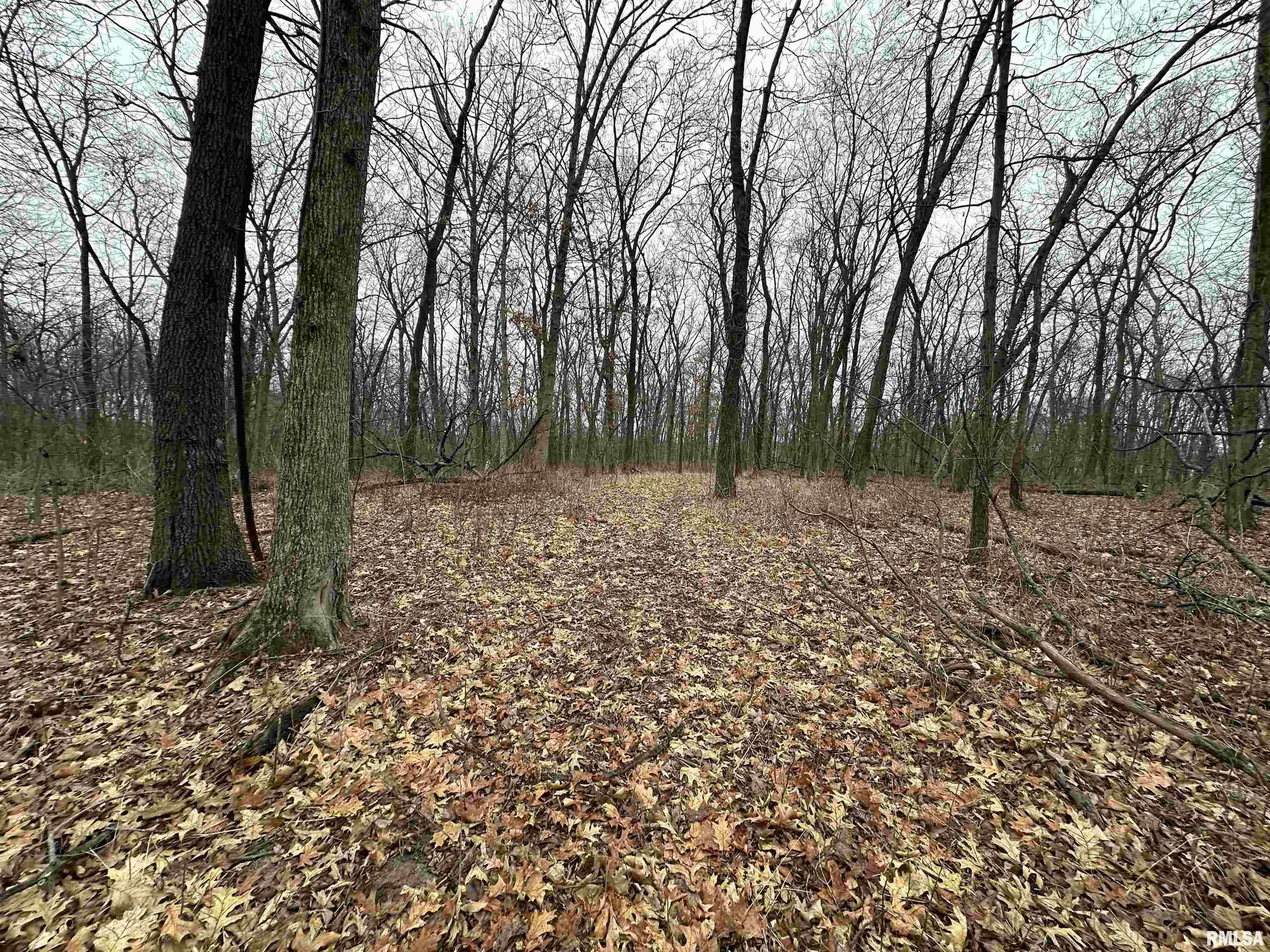 0 North 7 Hills Road Avon, IL 61415 - Photo 13 of 55