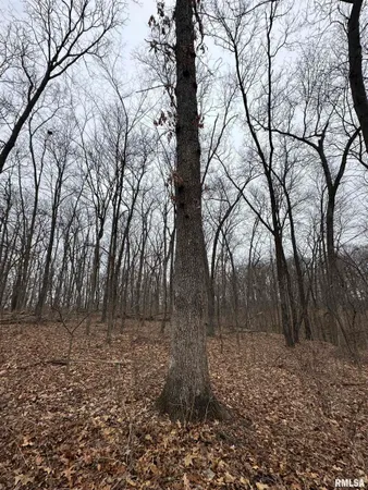 $775,000 | 0 North 7 Hills Road, Avon, IL 61415