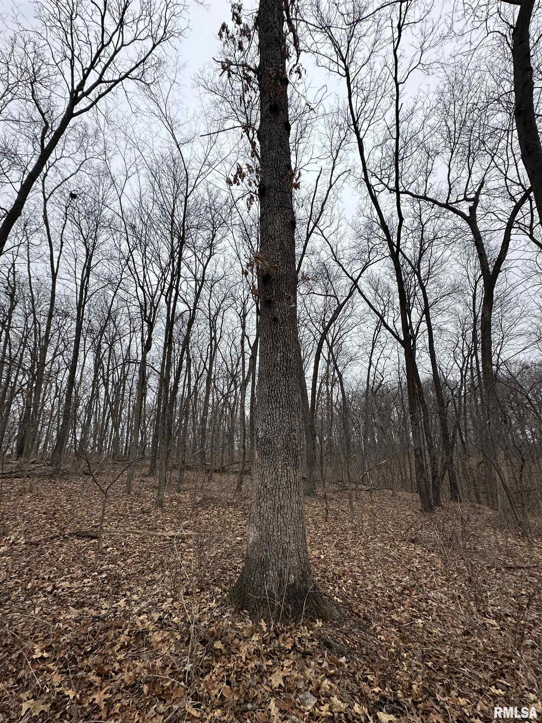 0 North 7 Hills Road Avon, IL 61415 - Photo 14 of 55