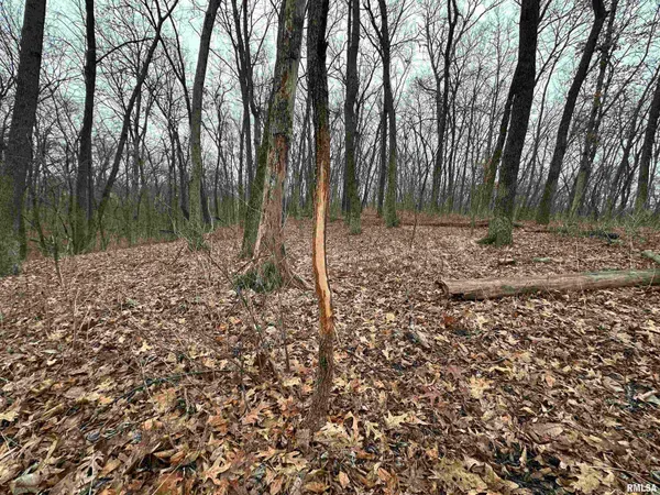 $775,000 | 0 North 7 Hills Road, Avon, IL 61415