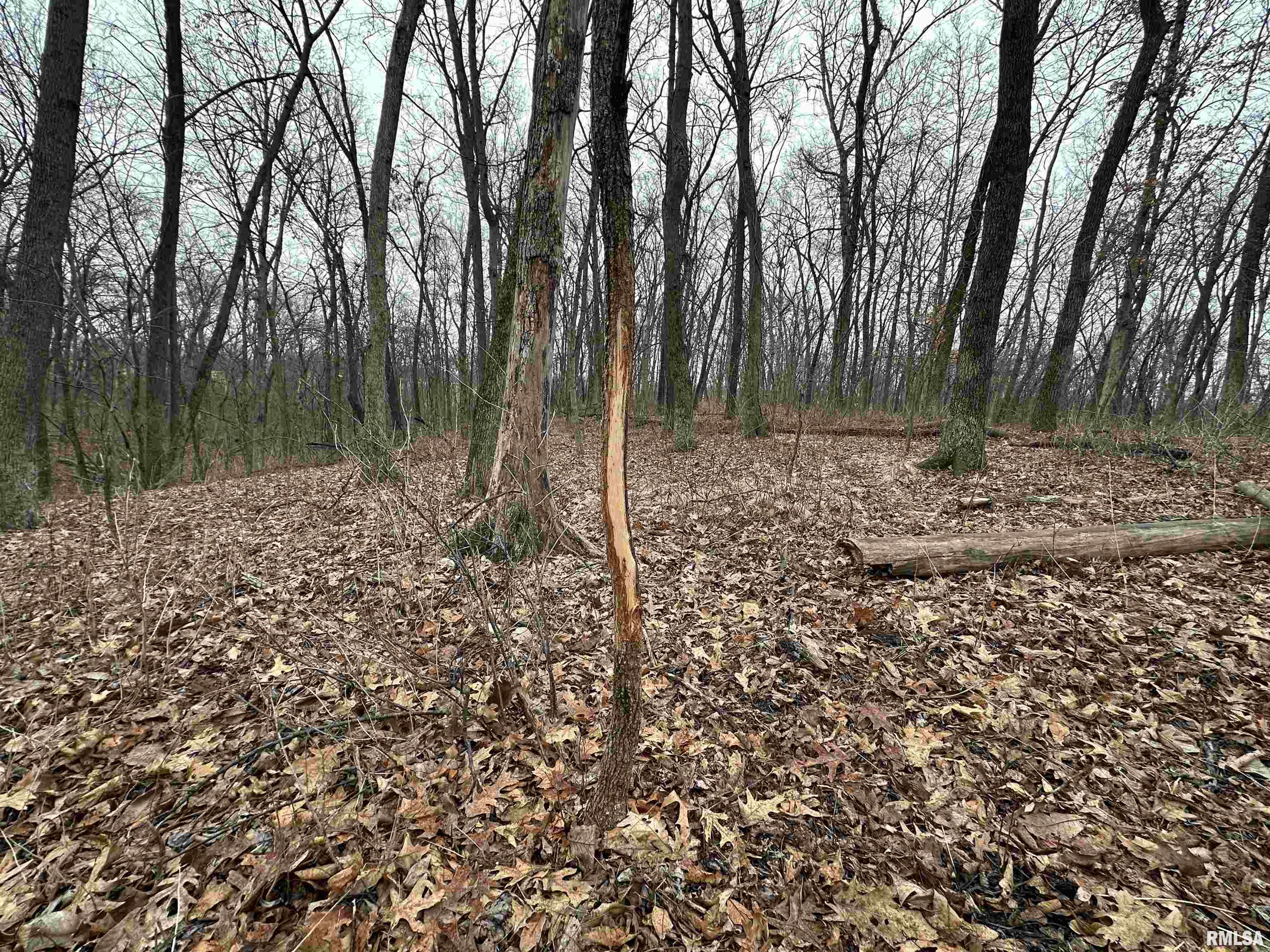 0 North 7 Hills Road Avon, IL 61415 - Photo 15 of 55