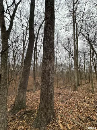 $775,000 | 0 North 7 Hills Road, Avon, IL 61415