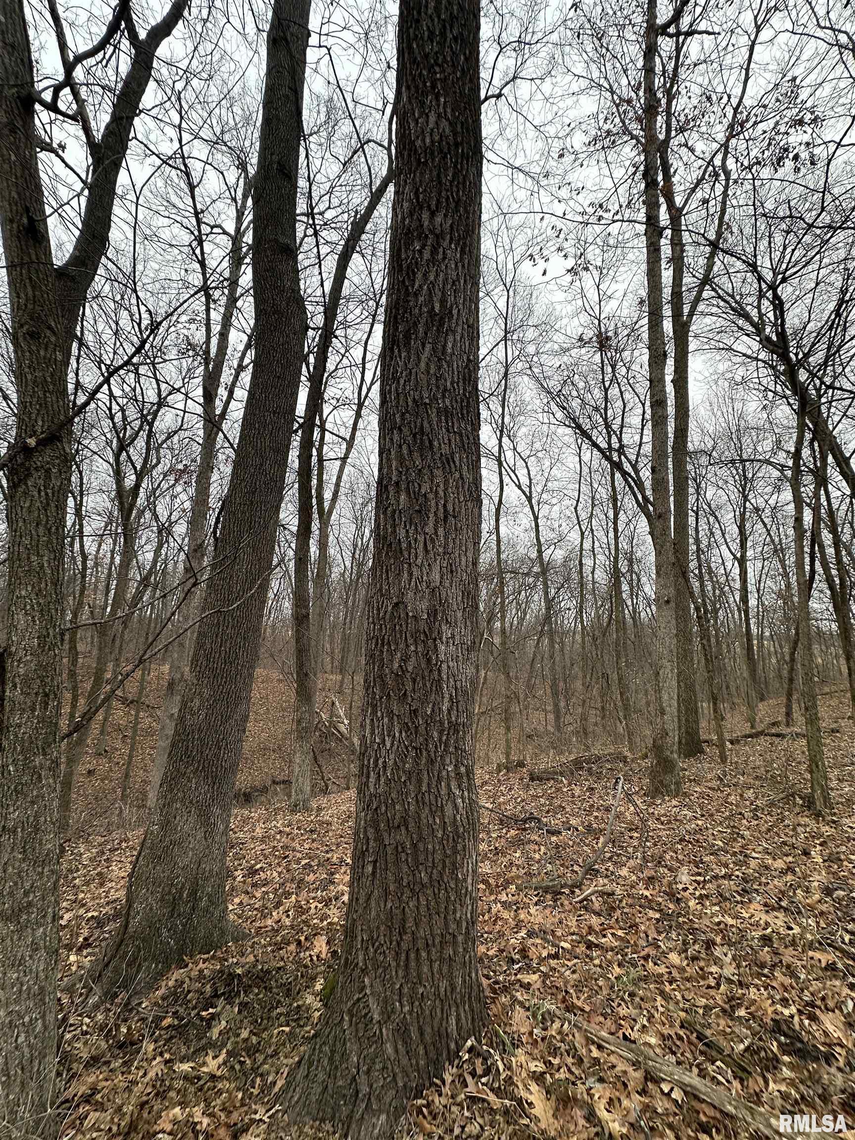 0 North 7 Hills Road Avon, IL 61415 - Photo 16 of 55