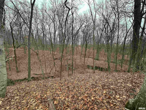 $775,000 | 0 North 7 Hills Road, Avon, IL 61415