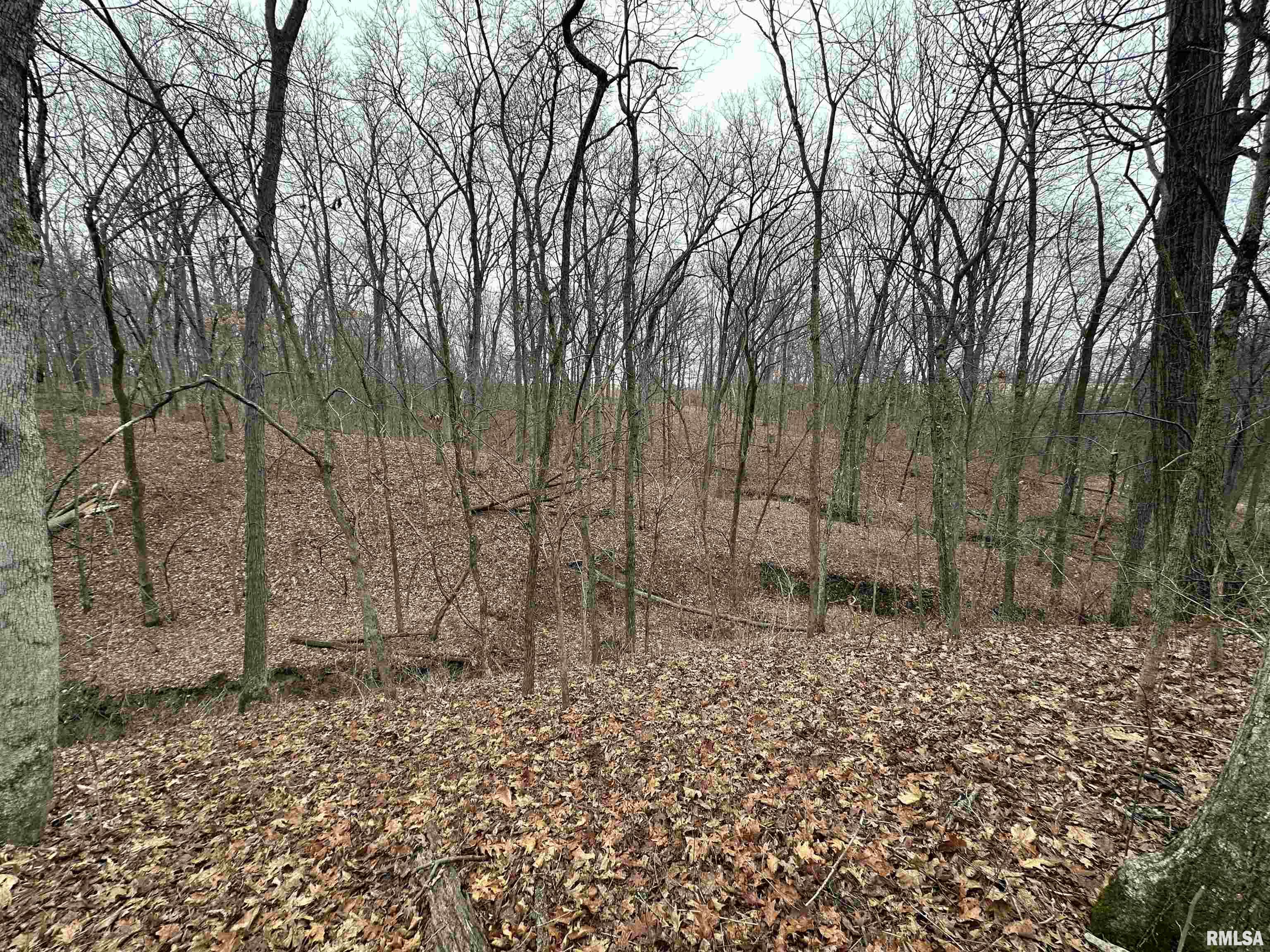 0 North 7 Hills Road Avon, IL 61415 - Photo 17 of 55