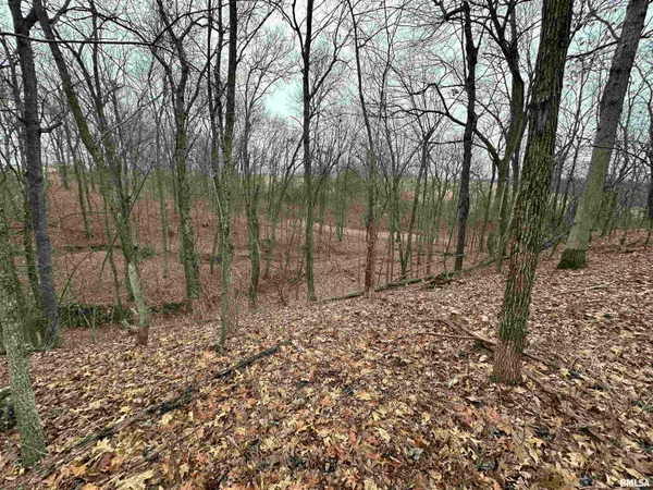 $775,000 | 0 North 7 Hills Road, Avon, IL 61415