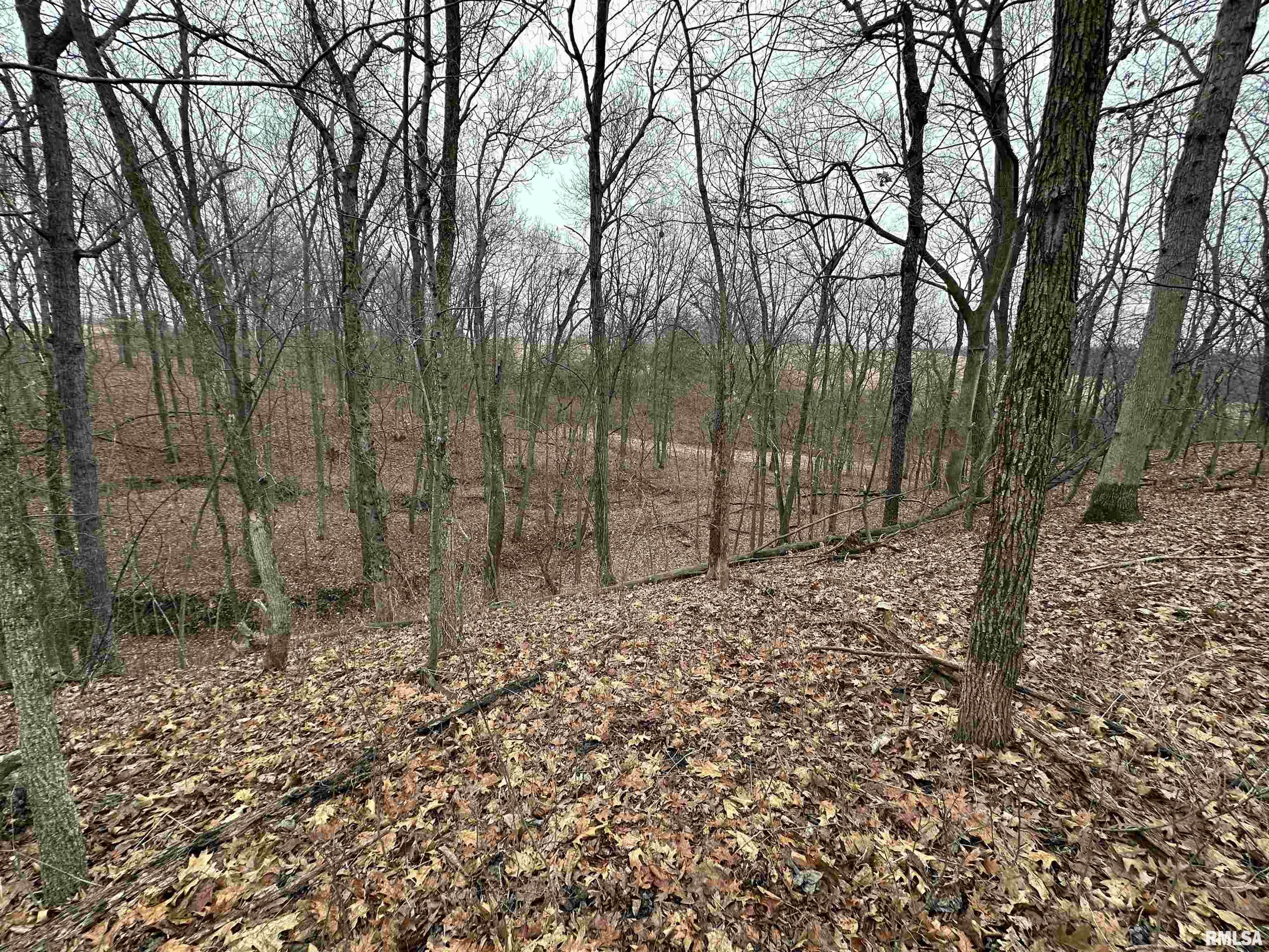 0 North 7 Hills Road Avon, IL 61415 - Photo 18 of 55