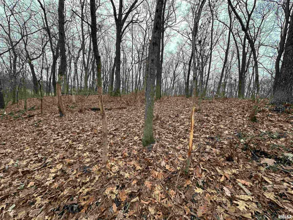 $775,000 | 0 North 7 Hills Road, Avon, IL 61415