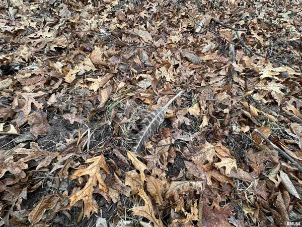 $775,000 | 0 North 7 Hills Road, Avon, IL 61415