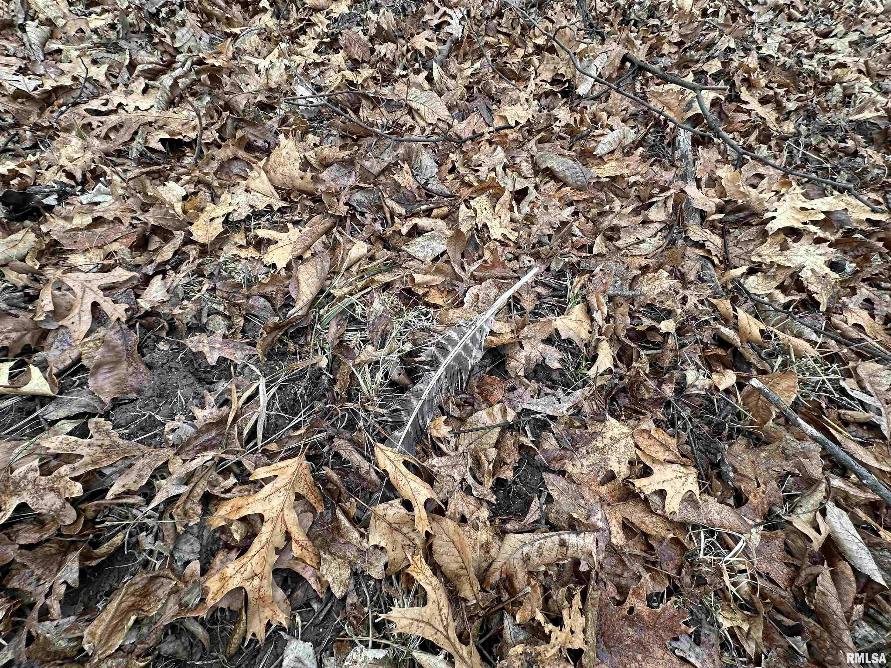 0 North 7 Hills Road Avon, IL 61415 - Photo 20 of 55