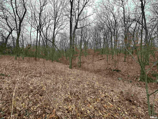 $775,000 | 0 North 7 Hills Road, Avon, IL 61415