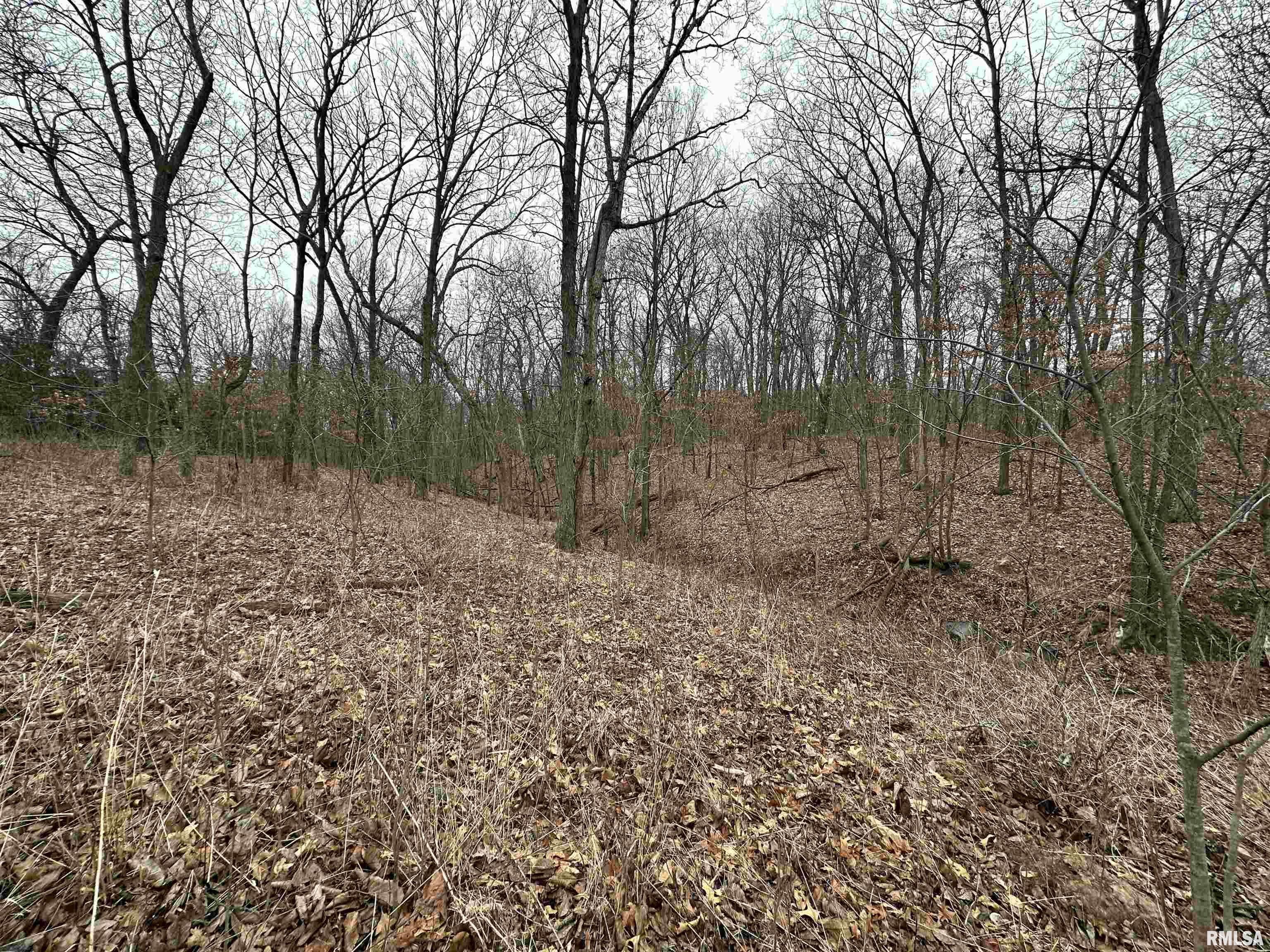 0 North 7 Hills Road Avon, IL 61415 - Photo 2 of 55