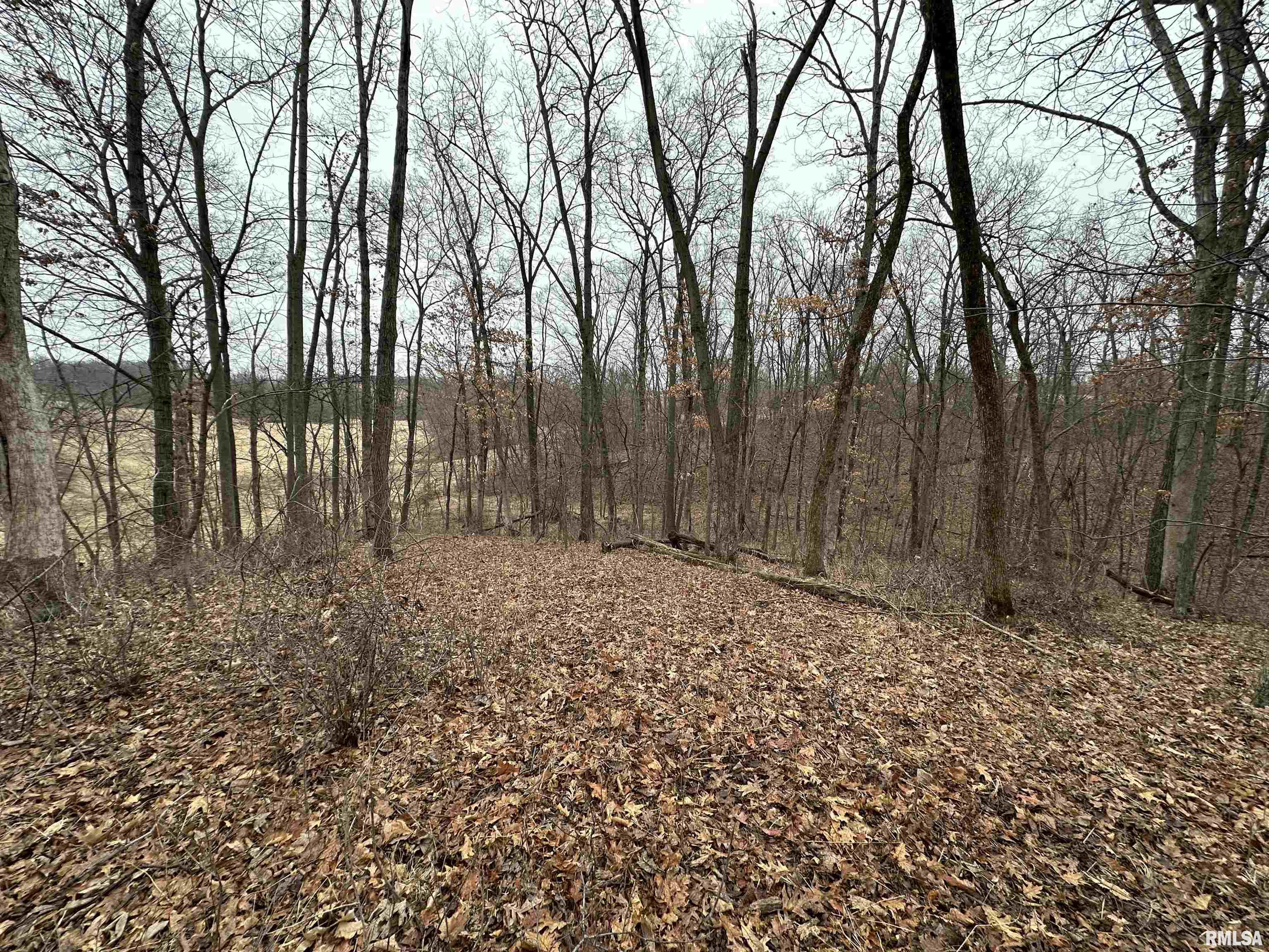 0 North 7 Hills Road Avon, IL 61415 - Photo 22 of 55