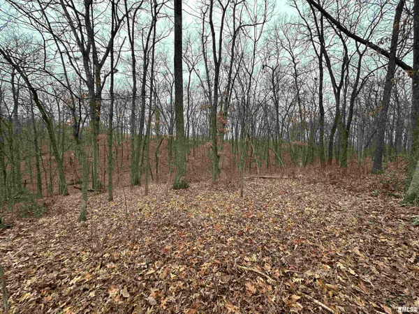 $775,000 | 0 North 7 Hills Road, Avon, IL 61415