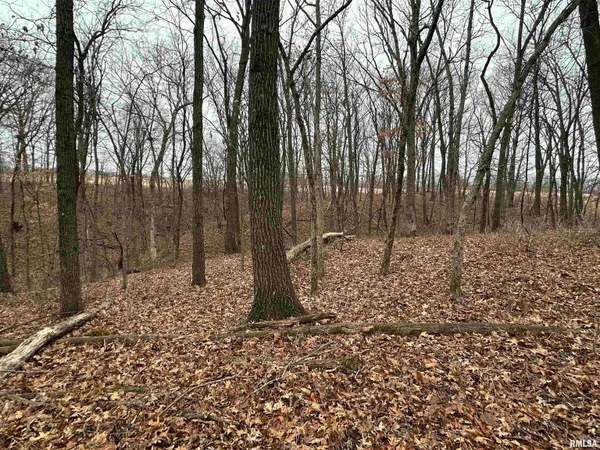 $775,000 | 0 North 7 Hills Road, Avon, IL 61415