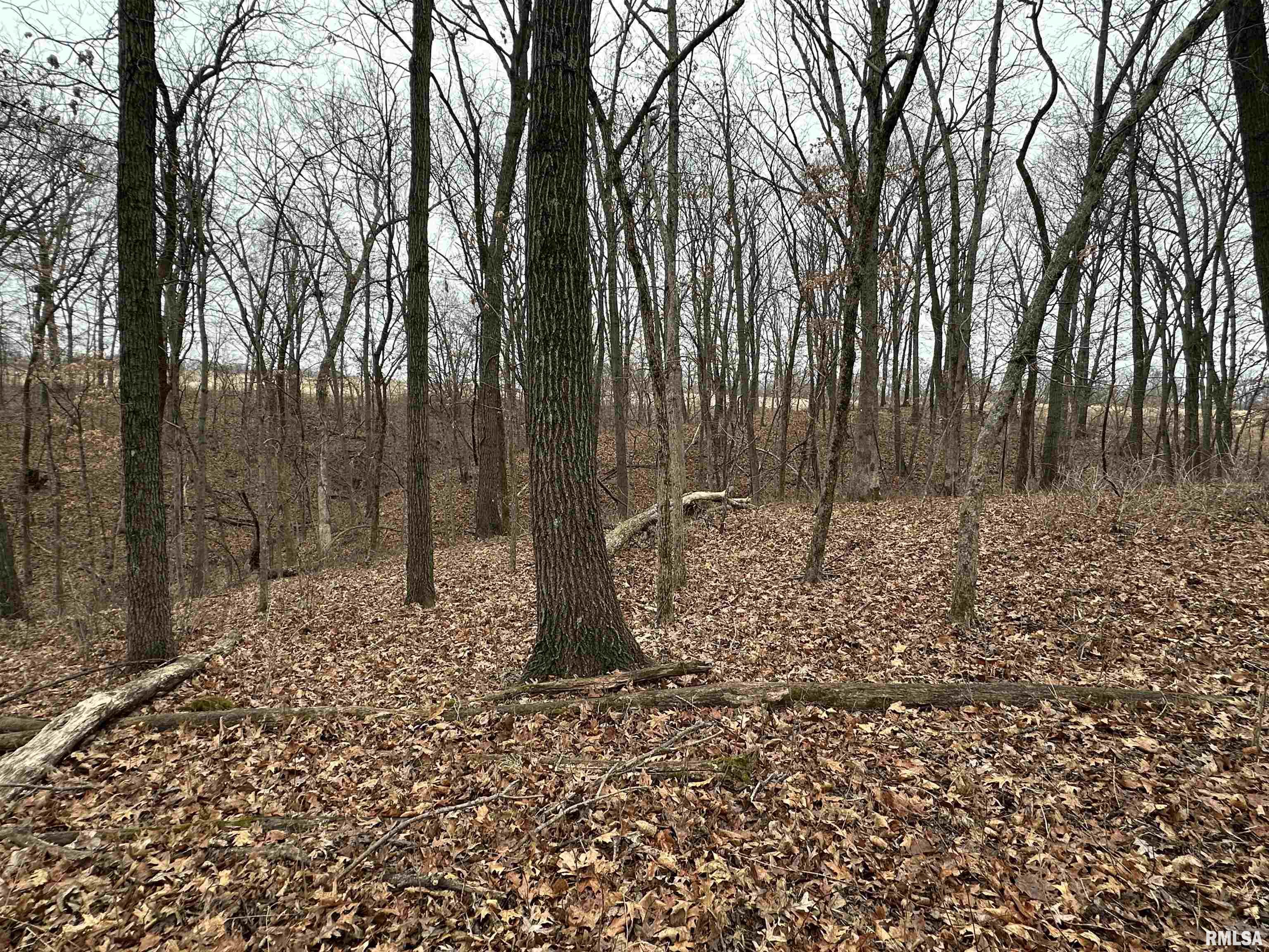 0 North 7 Hills Road Avon, IL 61415 - Photo 24 of 55