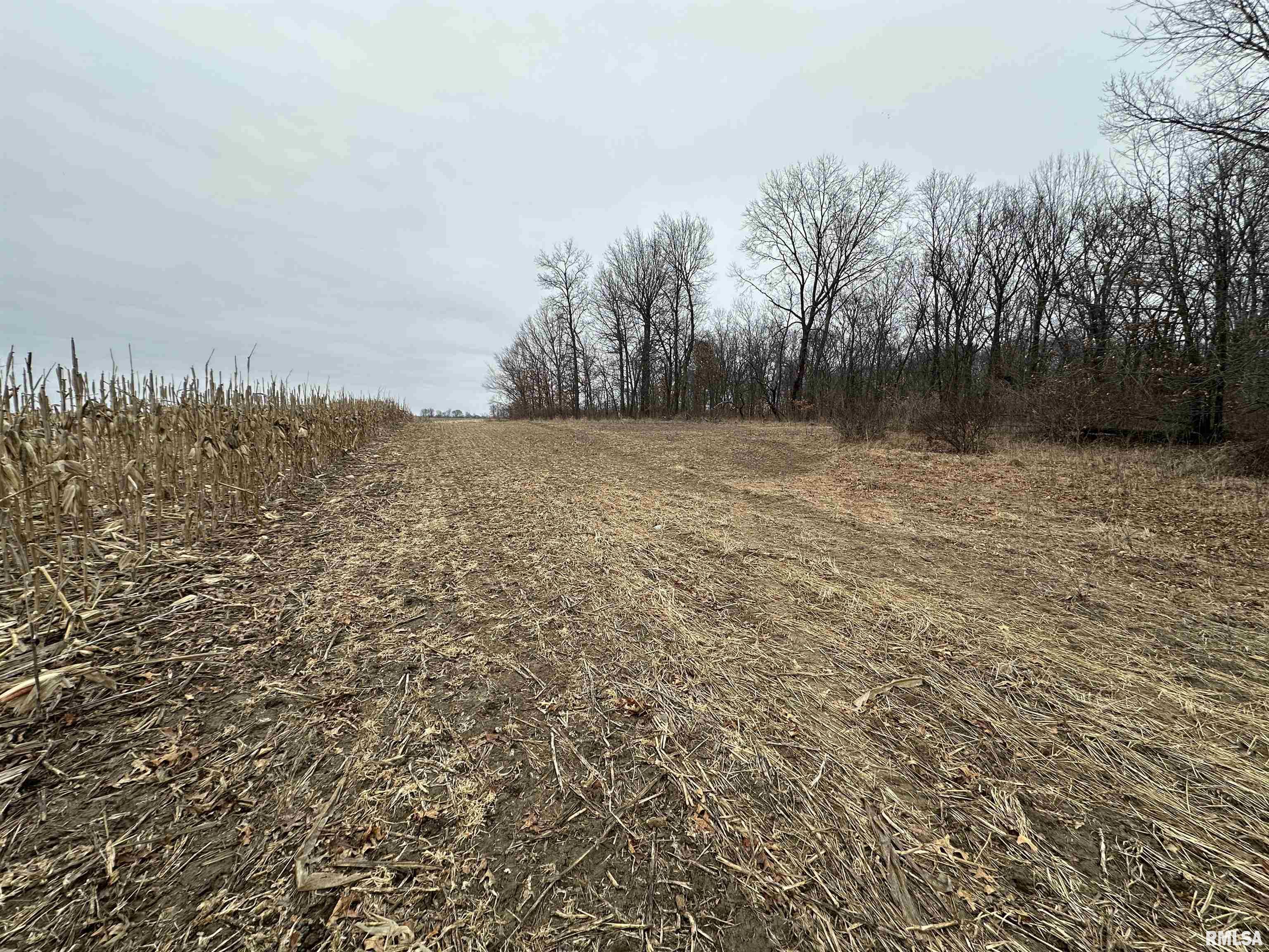 0 North 7 Hills Road Avon, IL 61415 - Photo 25 of 55