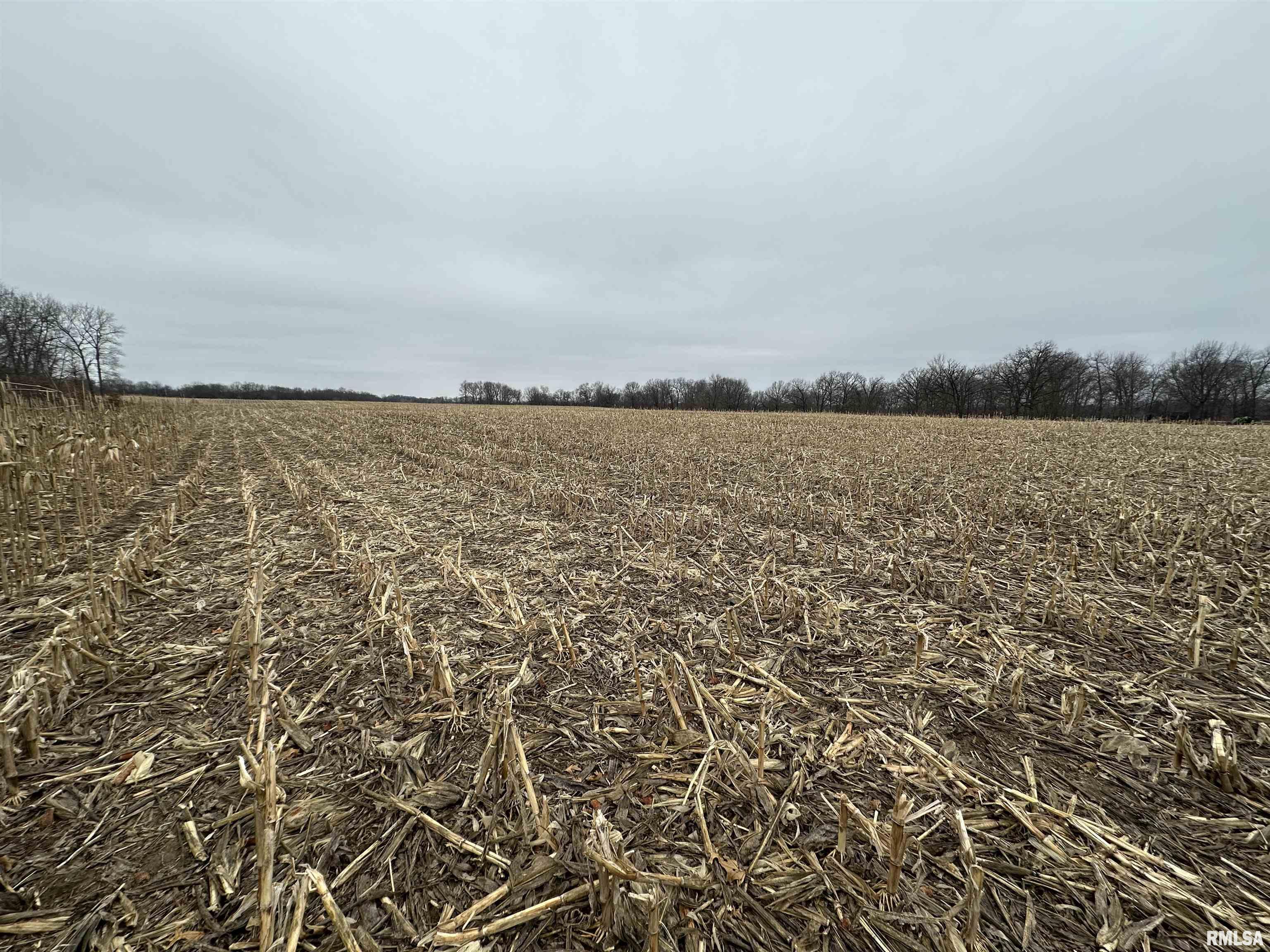 0 North 7 Hills Road Avon, IL 61415 - Photo 26 of 55