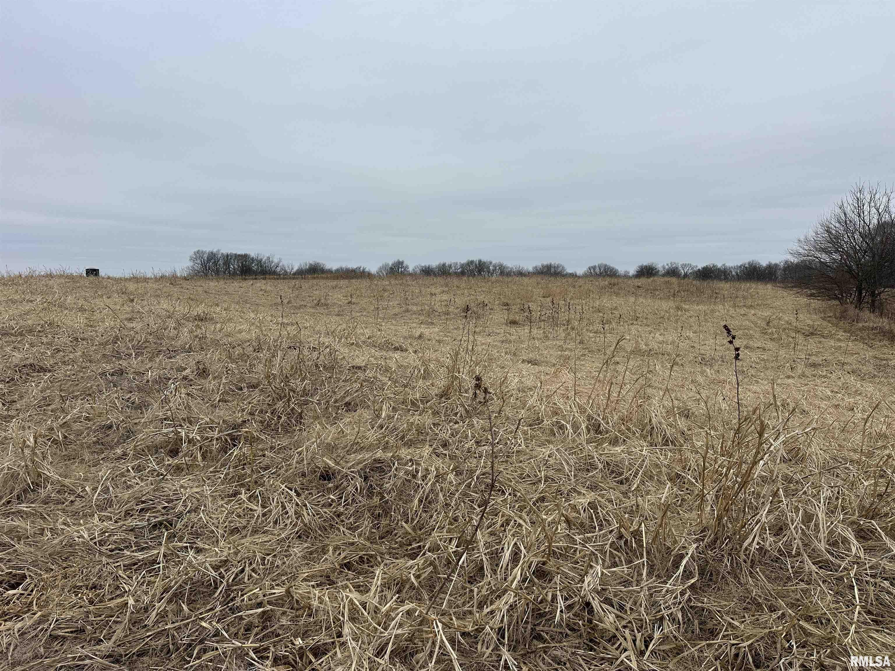 0 North 7 Hills Road Avon, IL 61415 - Photo 27 of 55