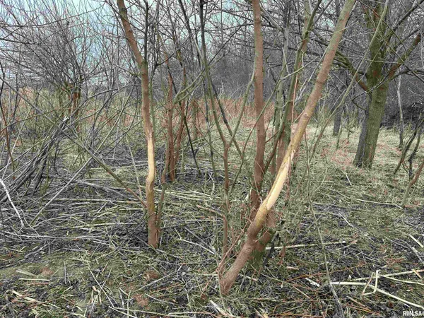 $775,000 | 0 North 7 Hills Road, Avon, IL 61415