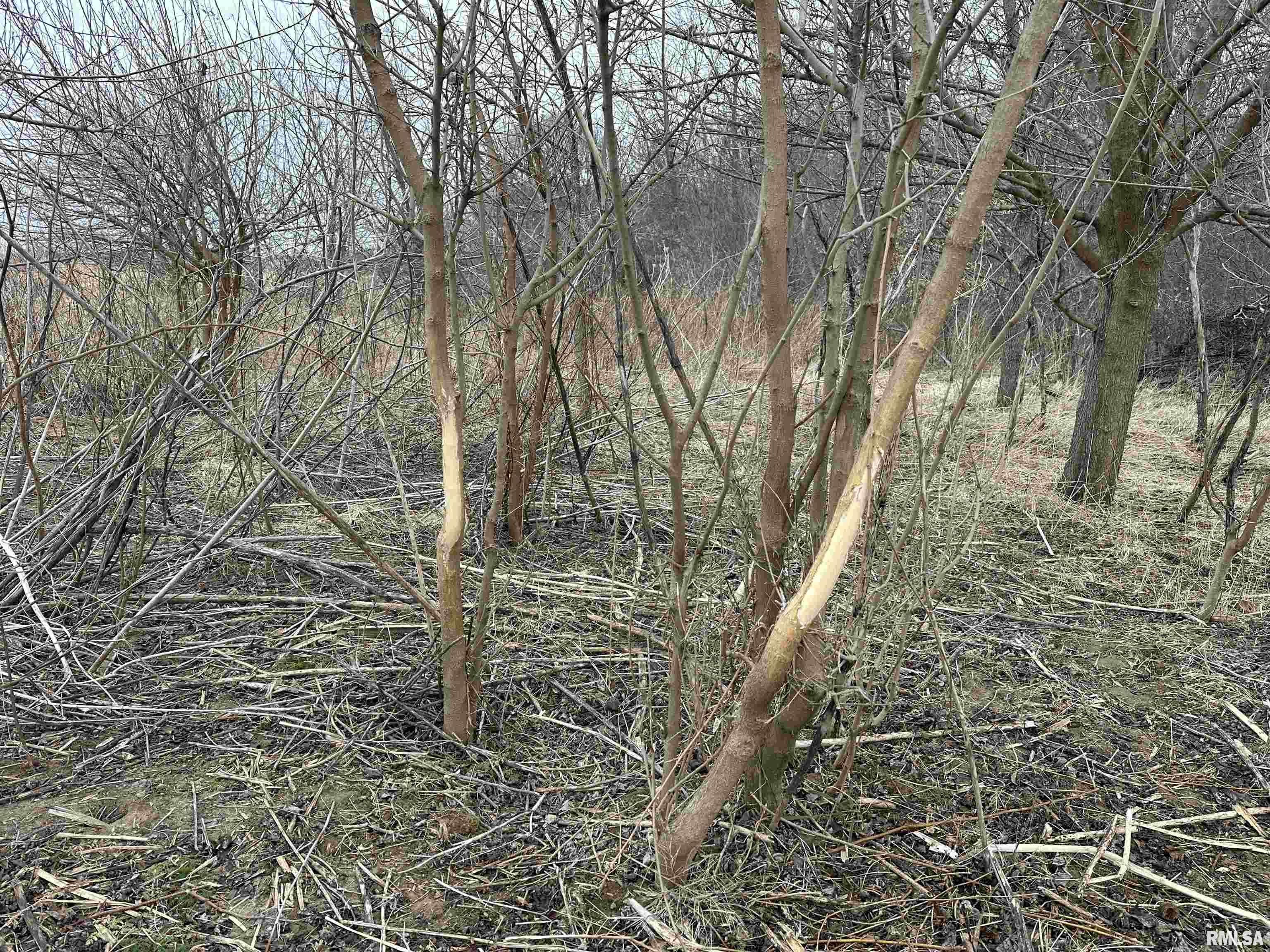 0 North 7 Hills Road Avon, IL 61415 - Photo 28 of 55