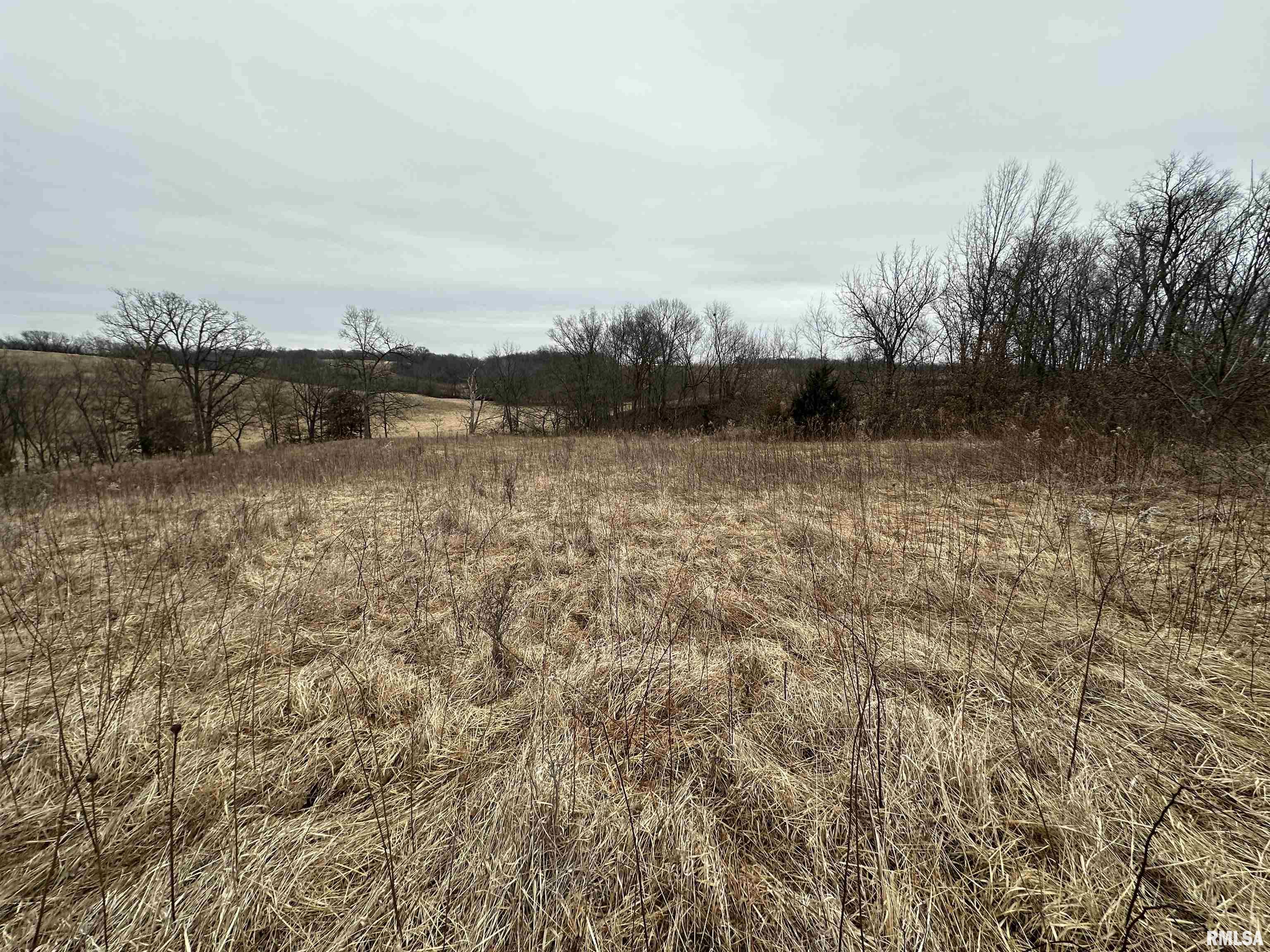 0 North 7 Hills Road Avon, IL 61415 - Photo 29 of 55