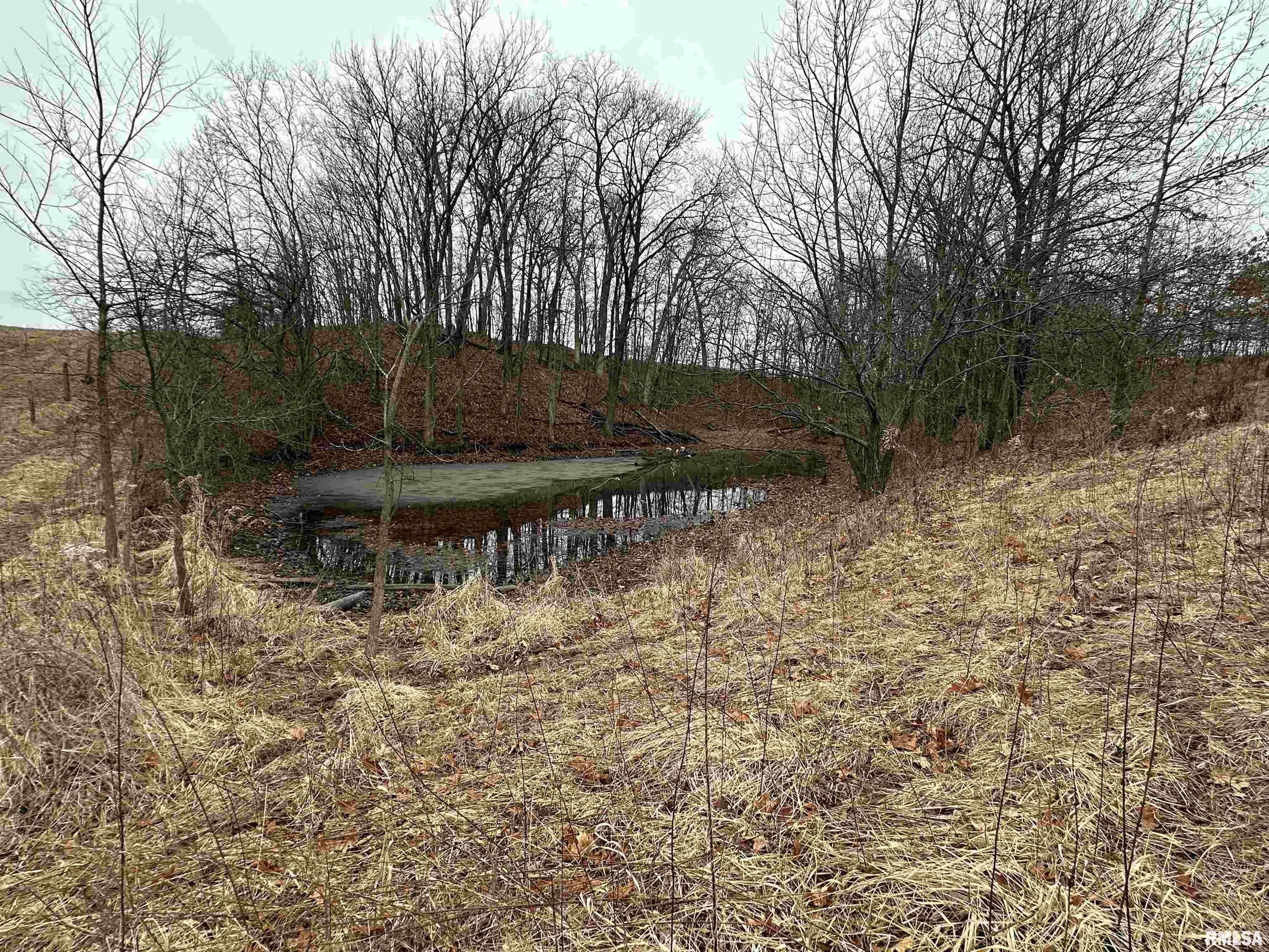 0 North 7 Hills Road Avon, IL 61415 - Photo 30 of 55