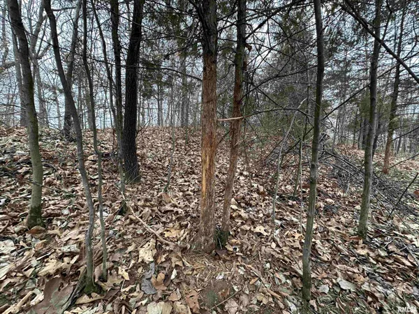 $775,000 | 0 North 7 Hills Road, Avon, IL 61415