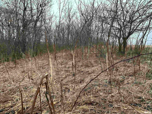 $775,000 | 0 North 7 Hills Road, Avon, IL 61415