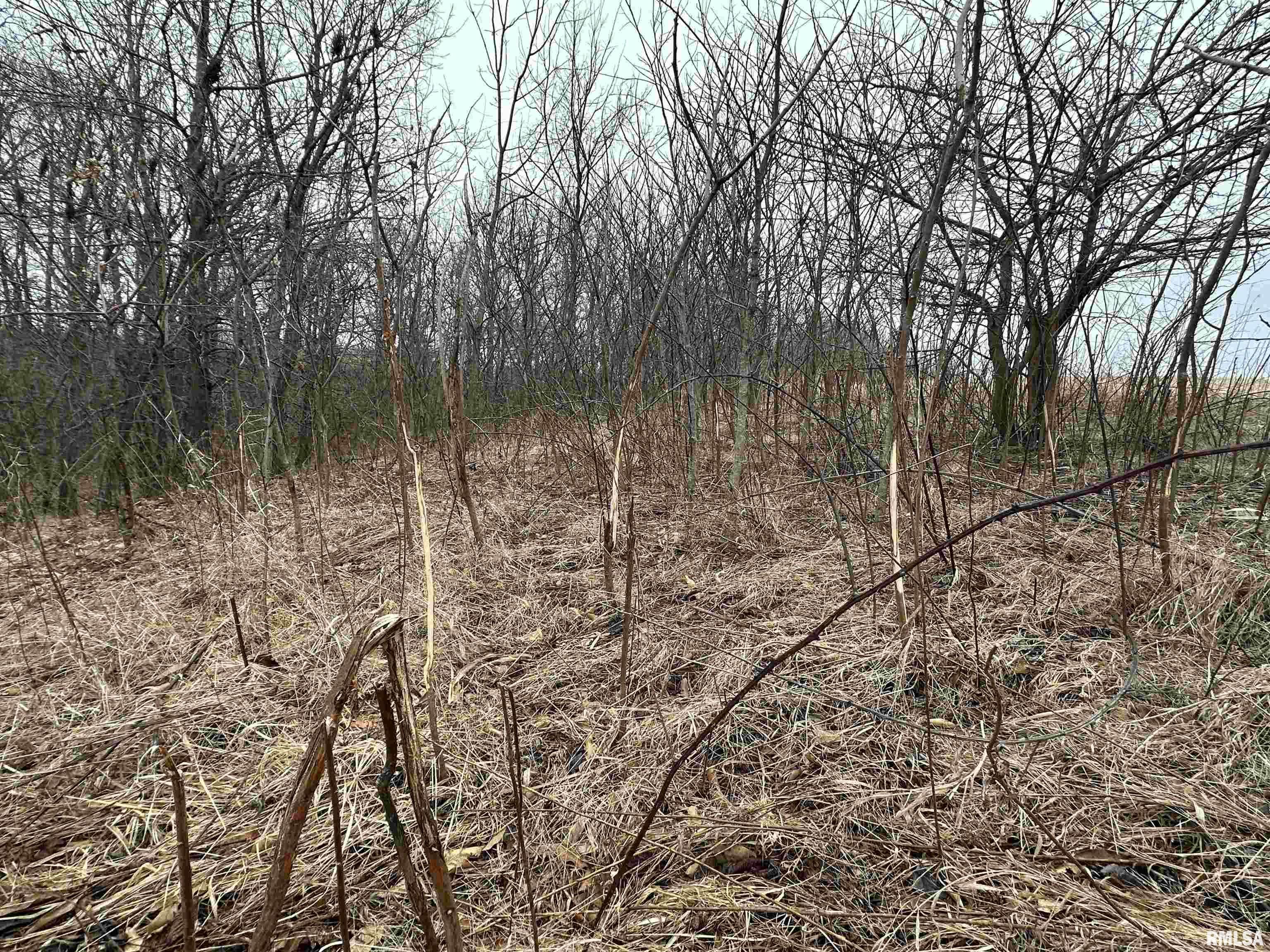 0 North 7 Hills Road Avon, IL 61415 - Photo 31 of 55