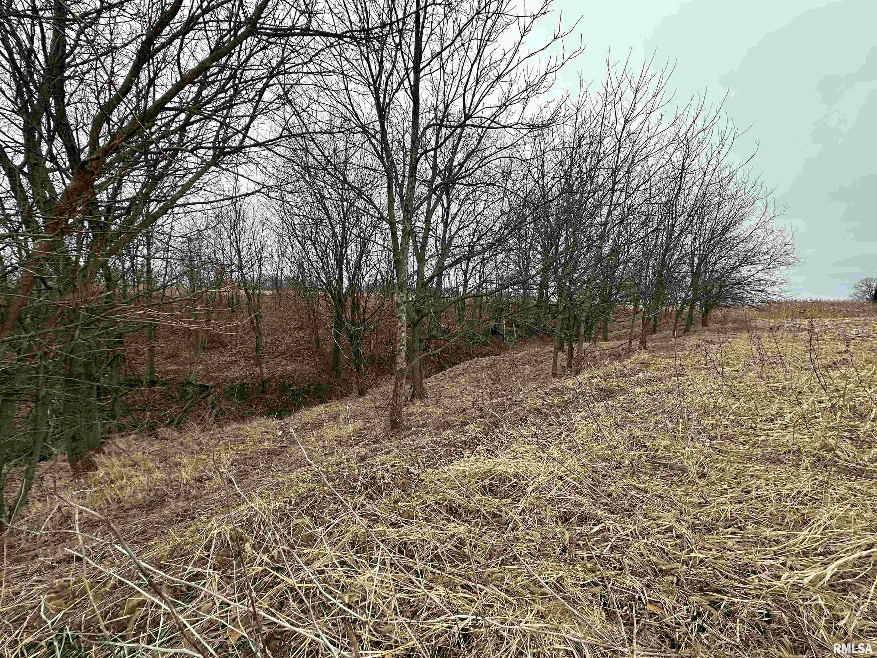 0 North 7 Hills Road Avon, IL 61415 - Photo 32 of 55