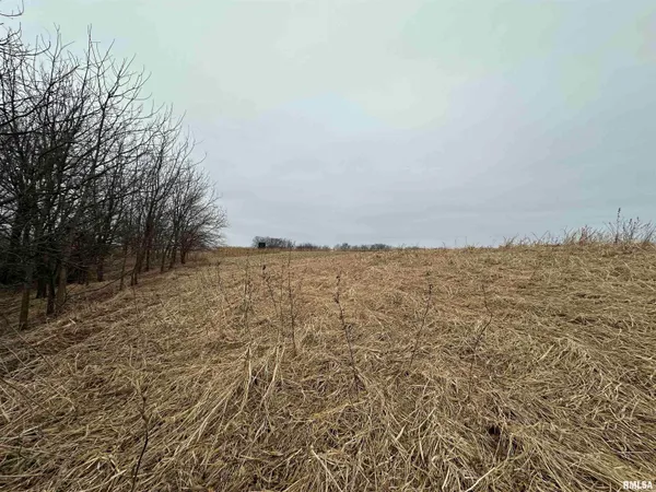 $775,000 | 0 North 7 Hills Road, Avon, IL 61415