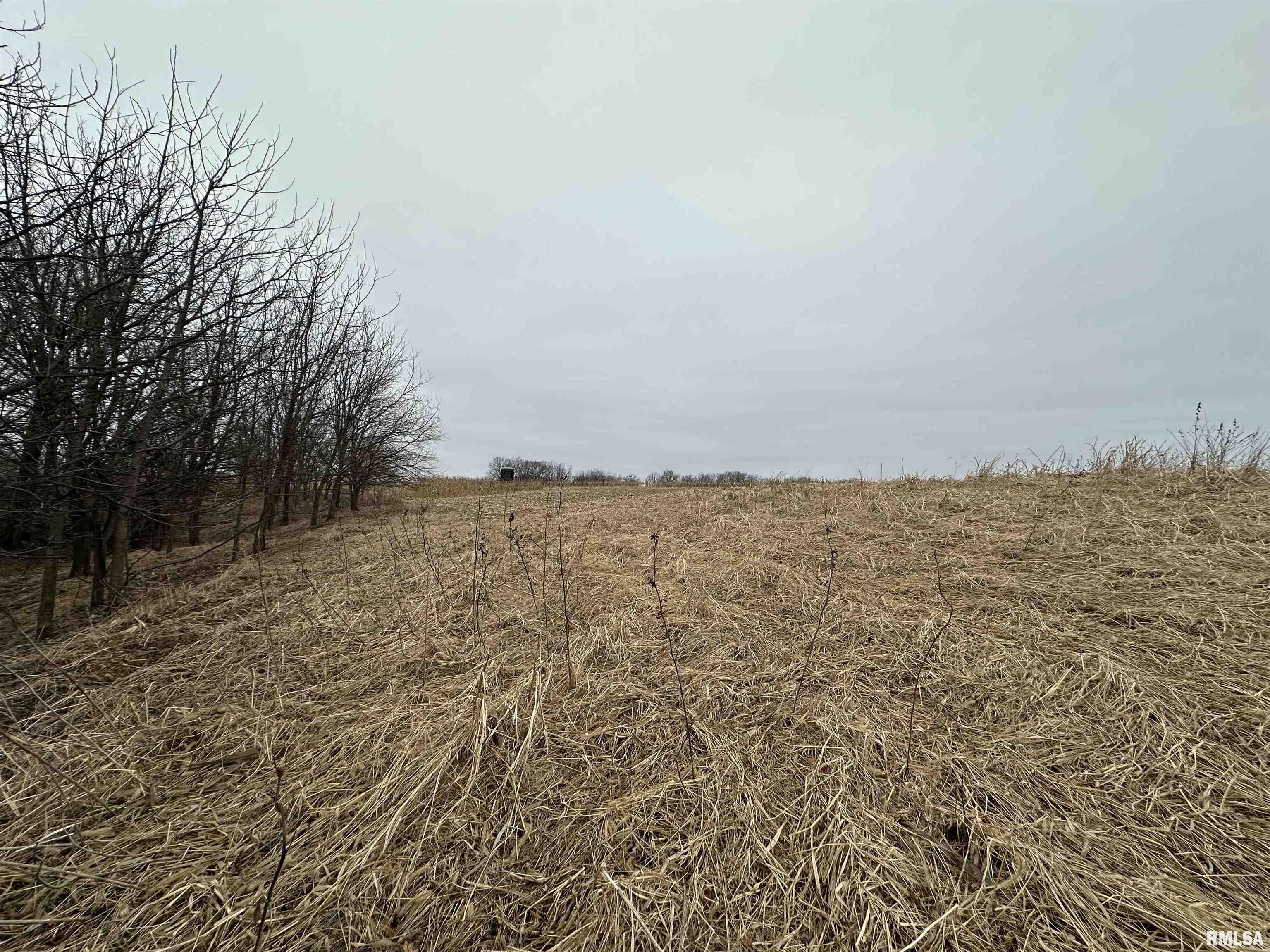 0 North 7 Hills Road Avon, IL 61415 - Photo 33 of 55