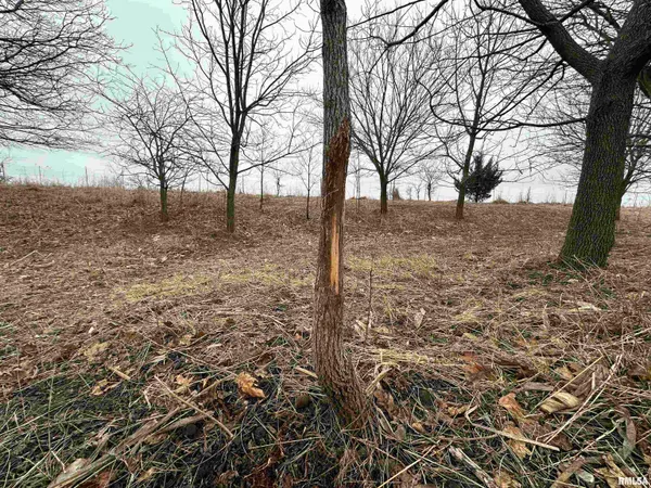 $775,000 | 0 North 7 Hills Road, Avon, IL 61415