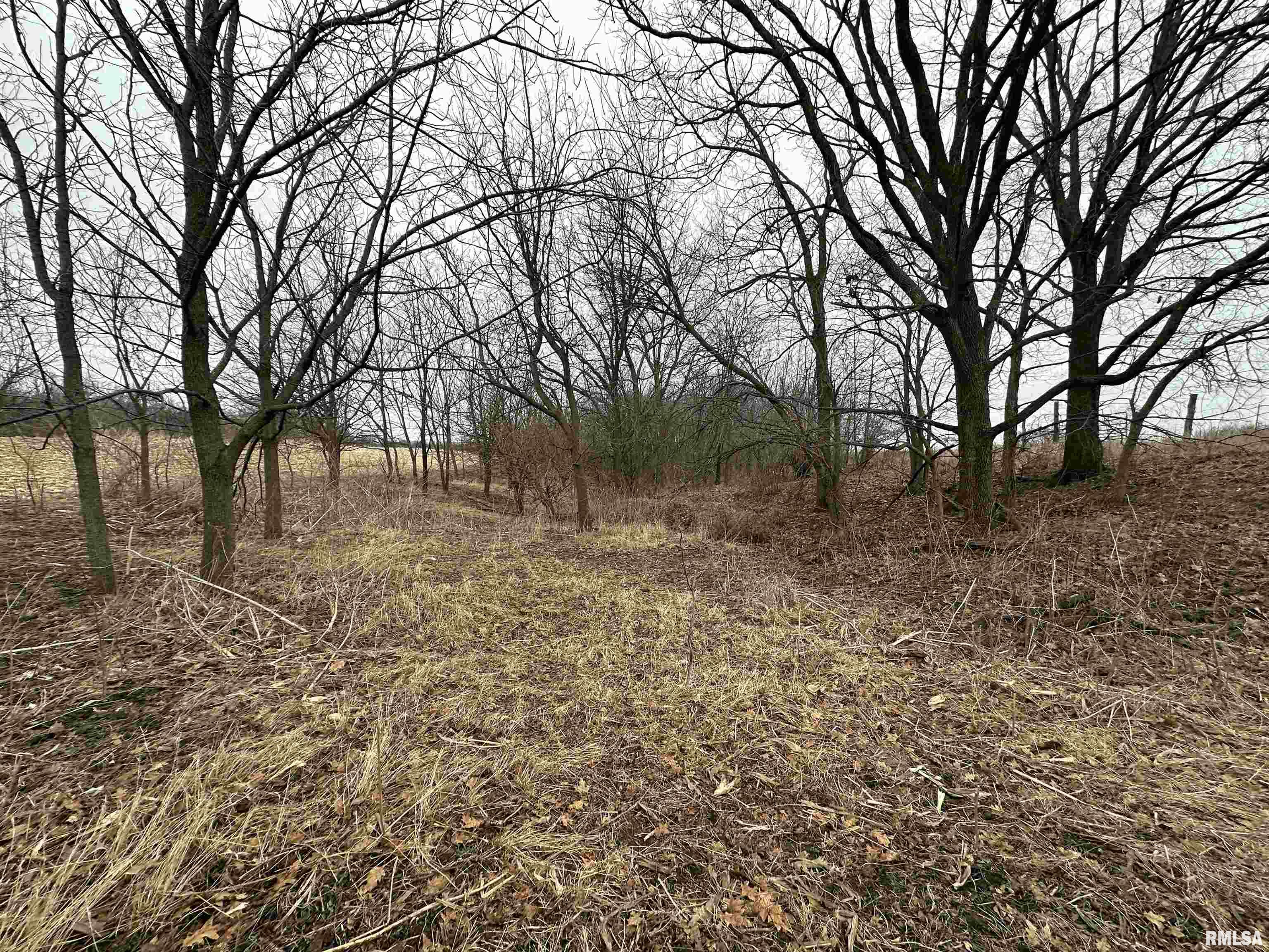 0 North 7 Hills Road Avon, IL 61415 - Photo 35 of 55