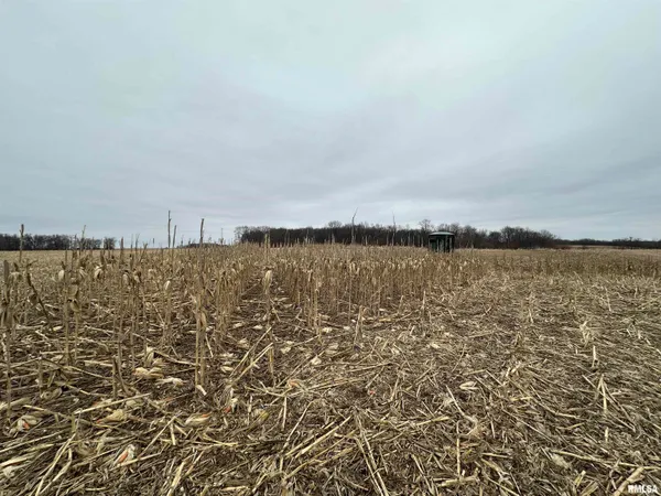 $775,000 | 0 North 7 Hills Road, Avon, IL 61415