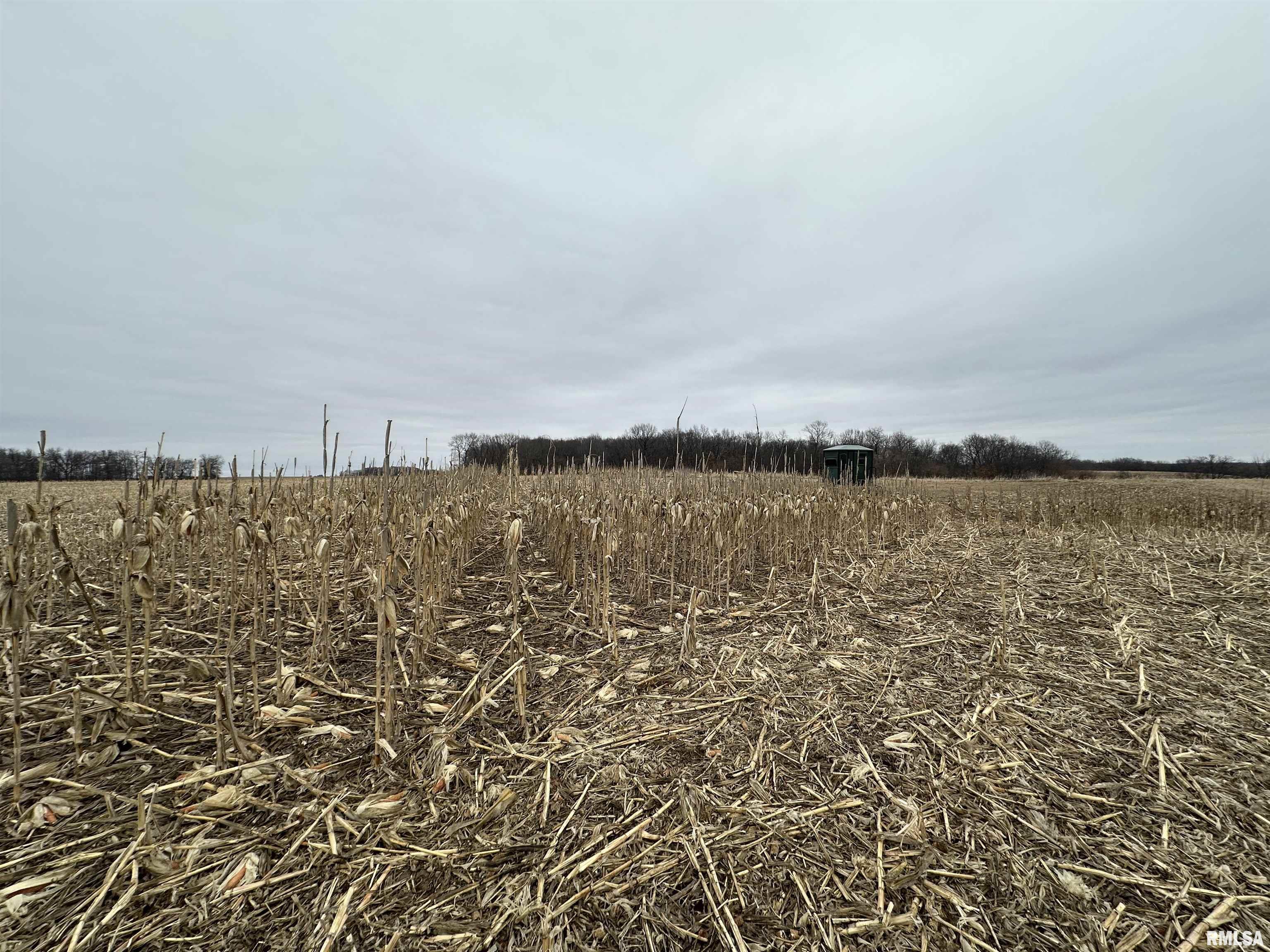 0 North 7 Hills Road Avon, IL 61415 - Photo 37 of 55