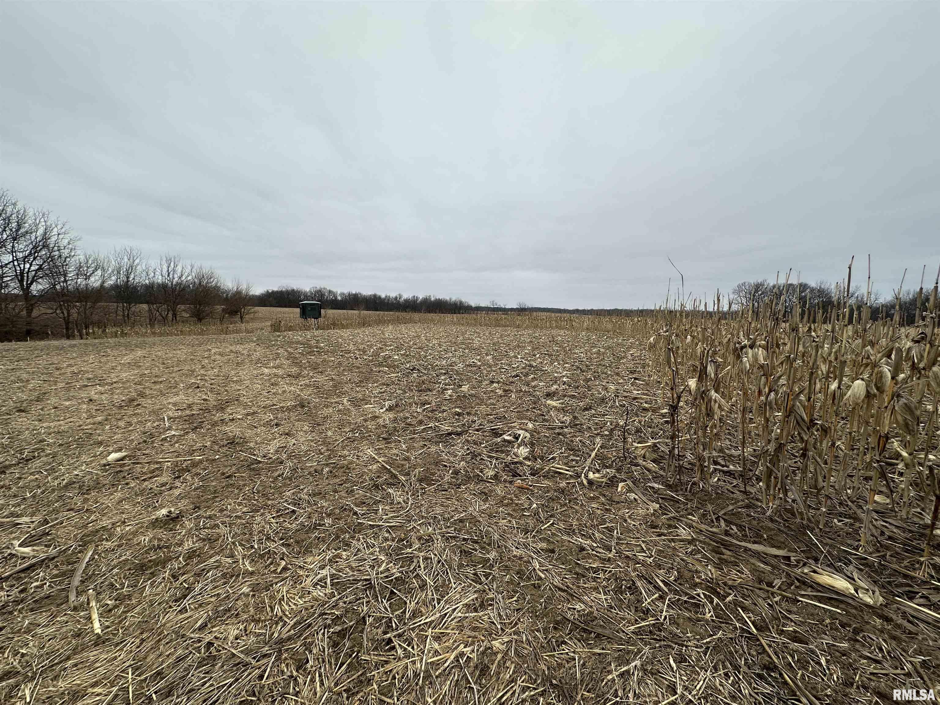 0 North 7 Hills Road Avon, IL 61415 - Photo 38 of 55