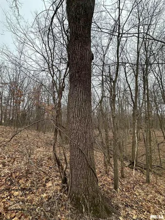 $775,000 | 0 North 7 Hills Road, Avon, IL 61415