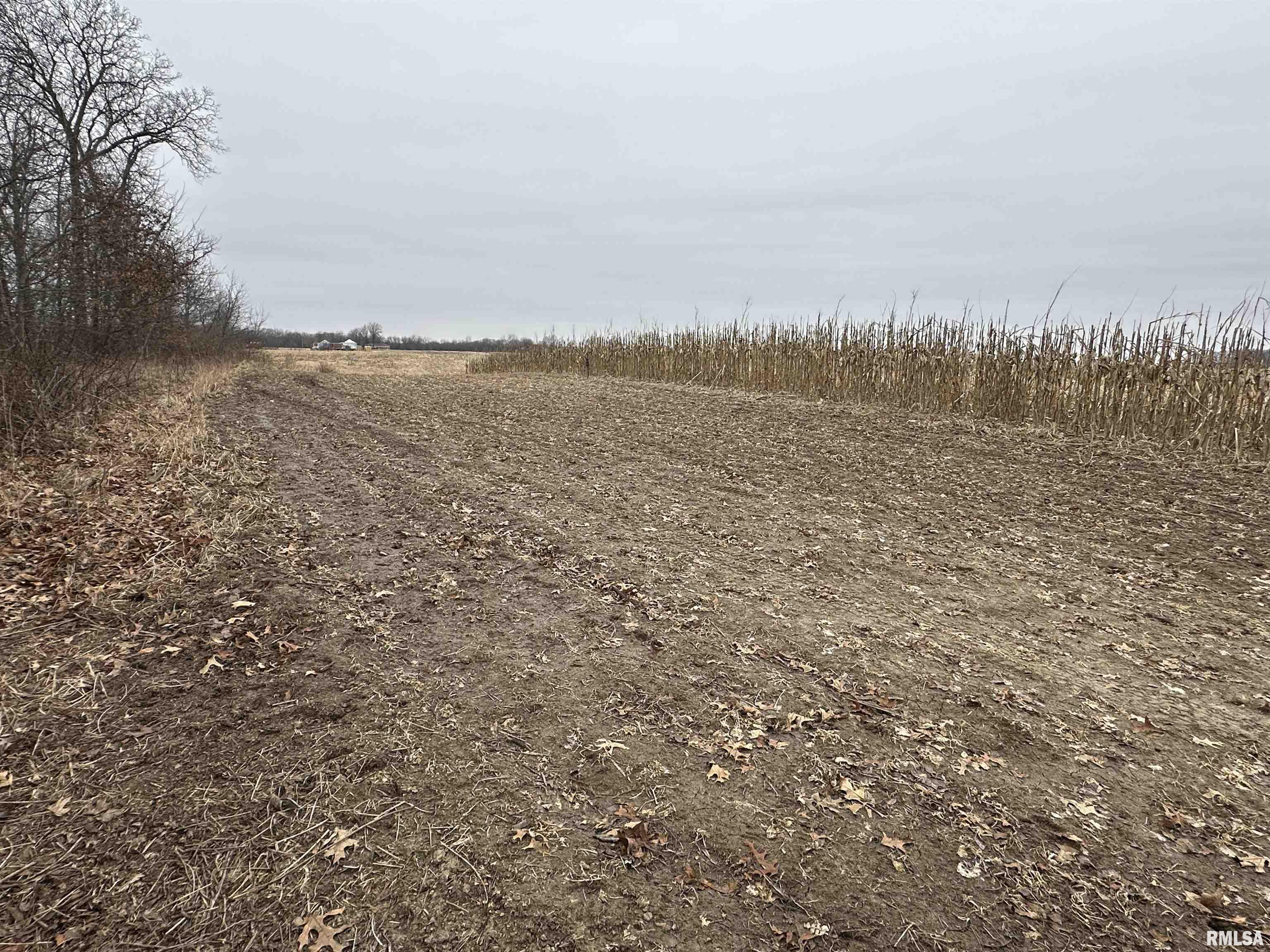 0 North 7 Hills Road Avon, IL 61415 - Photo 5 of 55