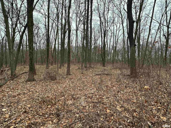 $775,000 | 0 North 7 Hills Road, Avon, IL 61415